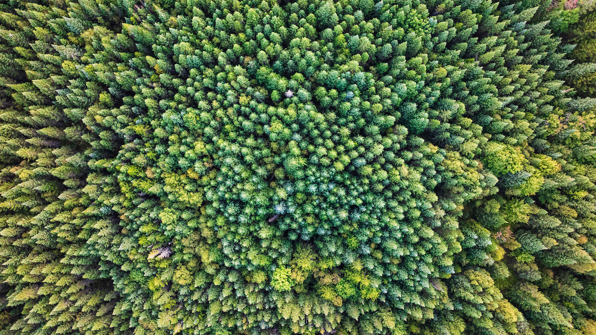 Land Trust Alliance: Historic Land Conservation Effort Seeks to Conserve 78,000 Acres in Western Maine