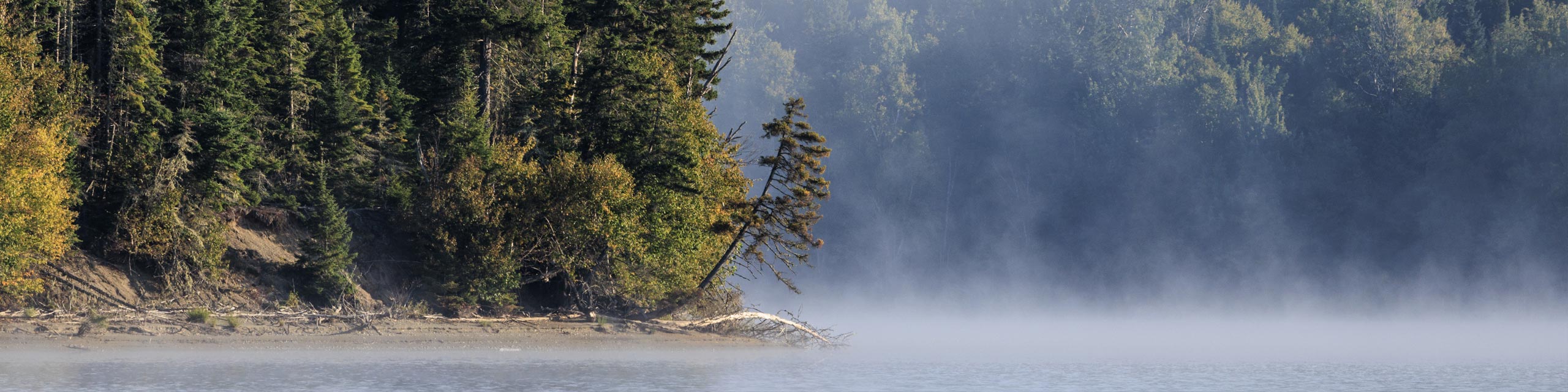 Foggy Lake in the Magalloway region in Maine