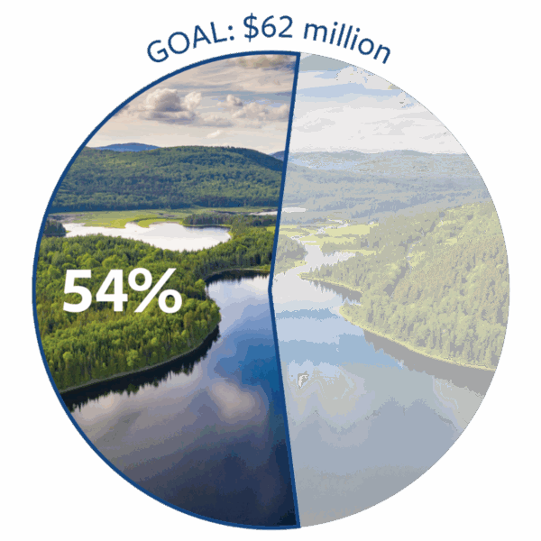 a pie chart showing 54% 