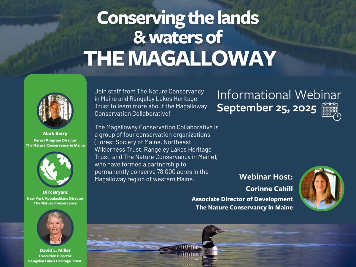 Magalloway Webinar