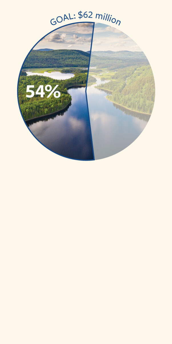 Pie chart showing 54% of project funds raised to reach $62 million goal