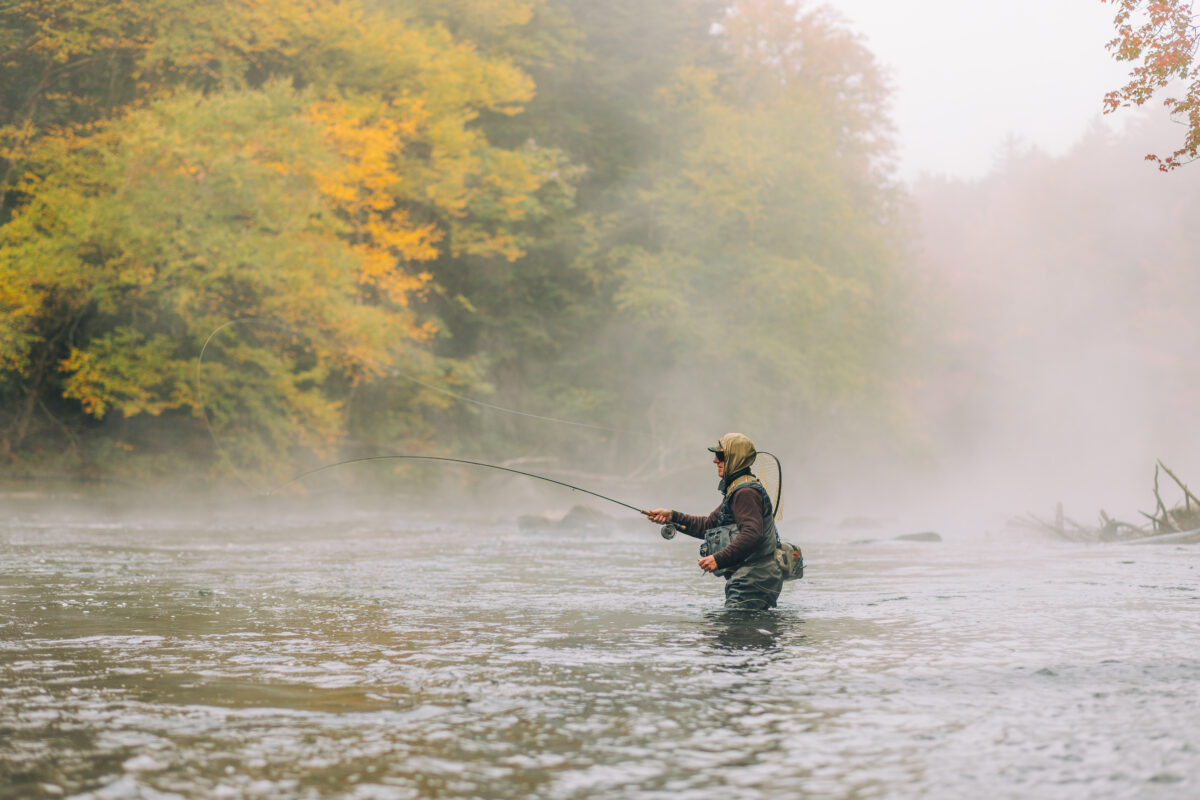 Maine Public: ‘Once in a generation’ opportunity protects wildlife, working forest and recreation in western Maine