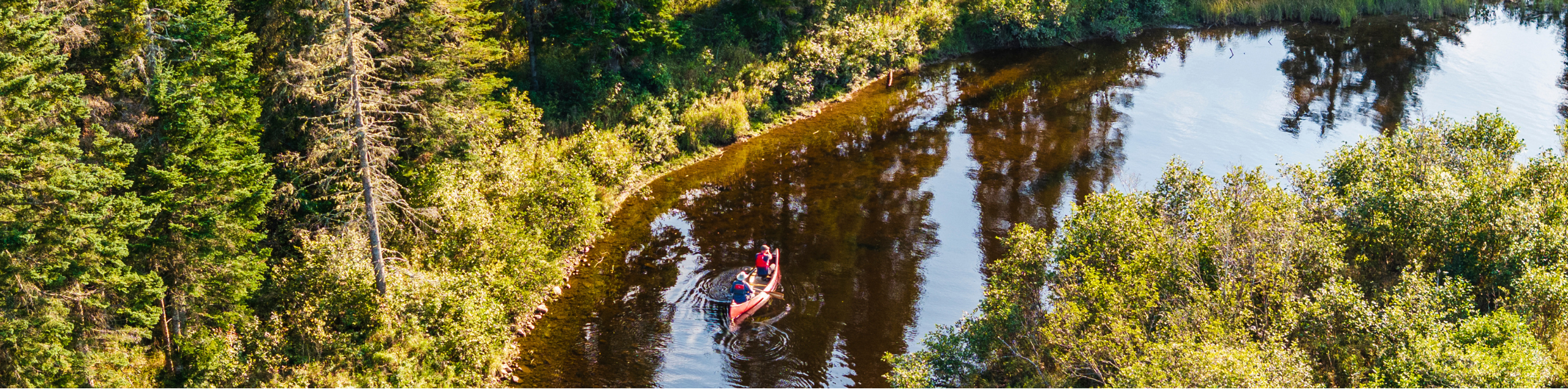 Paddlers navigating a bend in the Magalloway River